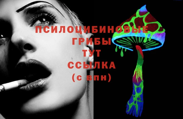 крисы Армянск