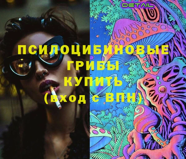 гидра Аркадак