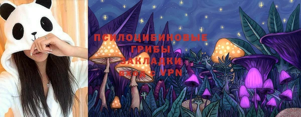 крисы Армянск