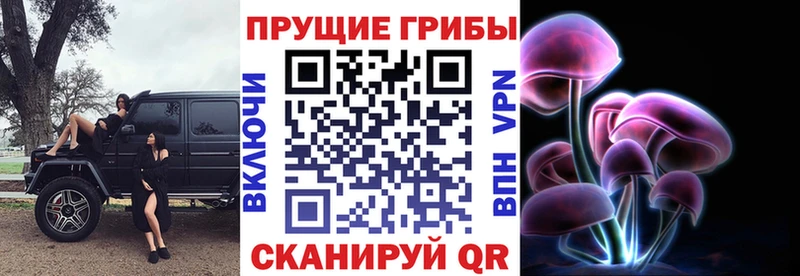 купить цена мега ссылка Псилоцибиновые грибы прущие грибы Осташков